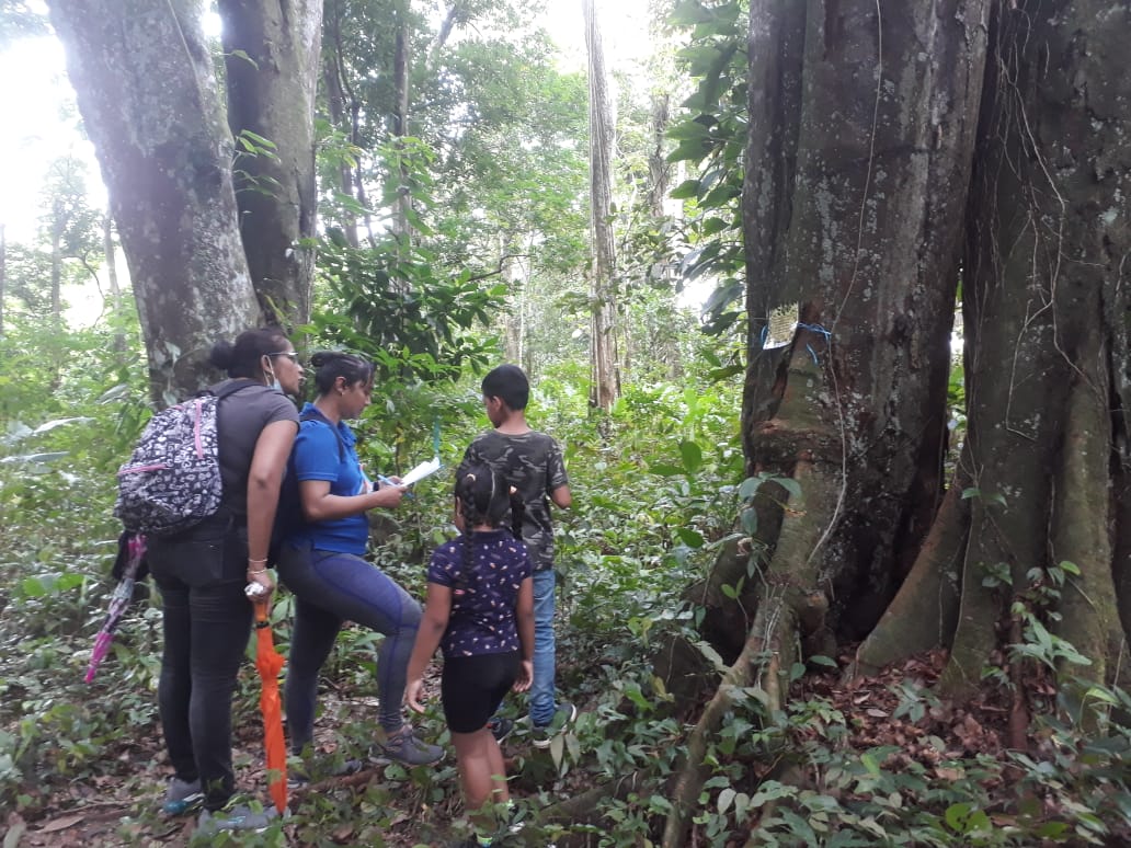 Geslaagde speurtocht in de Cultuurtuin