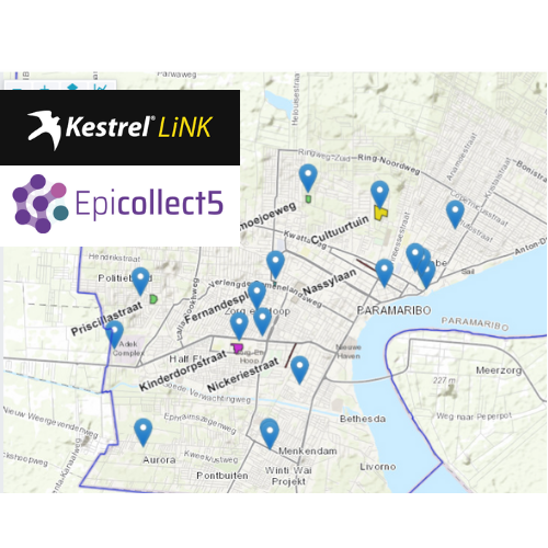 Citizen Science monitoring Reunie