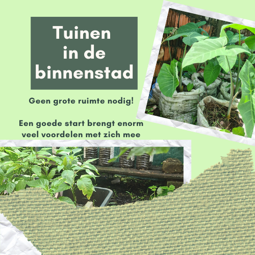 Groene tuin serie: Foto Prani