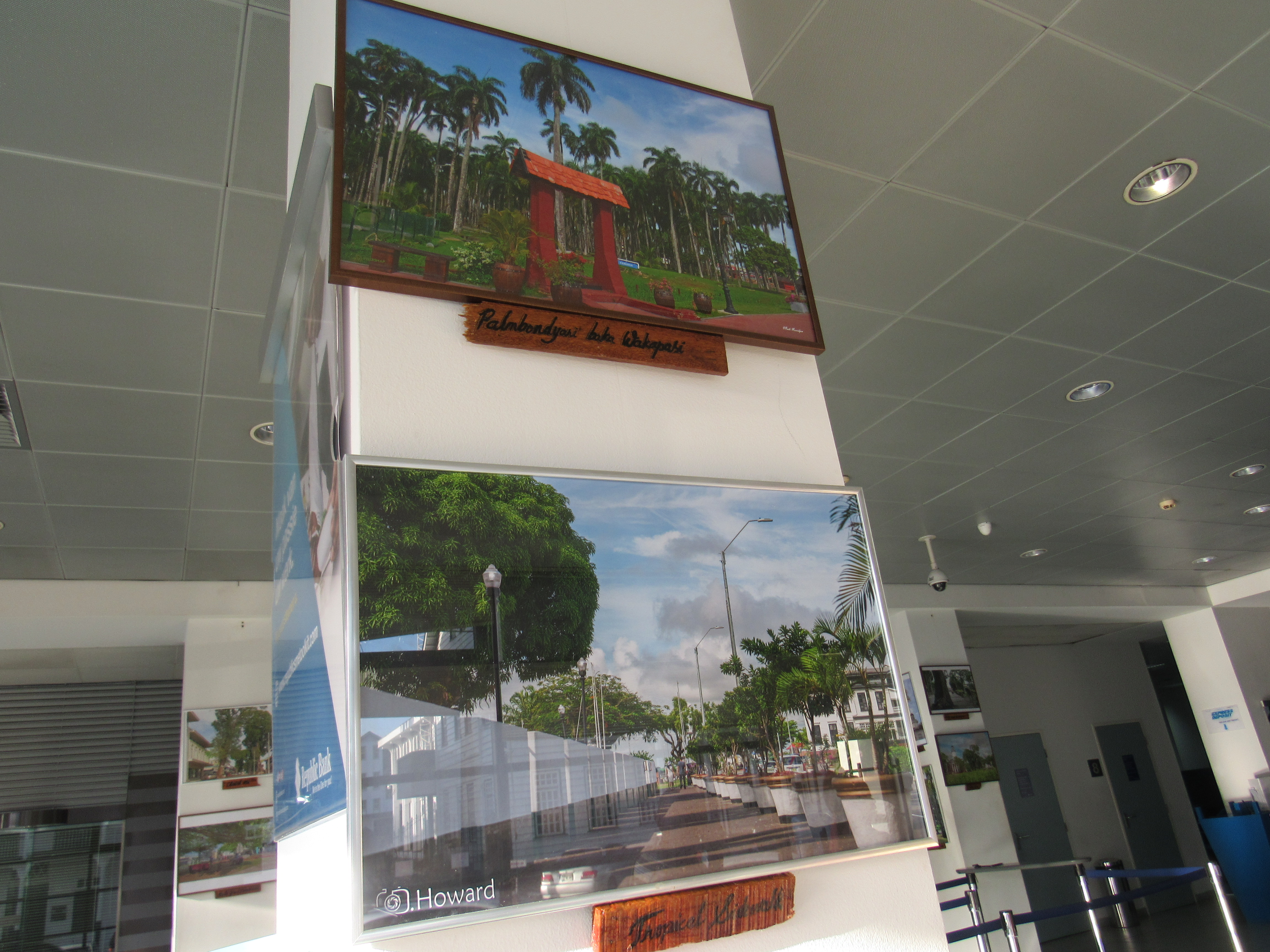 Expositie 2020-Groen Paramaribo Photowalk