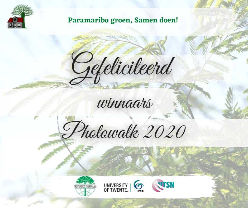 Winnaars  Groen Paramaribo photowalk II